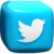 twitter Twitter